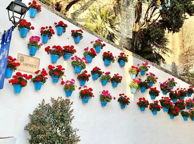 Lägenhet Old Town-300m From The